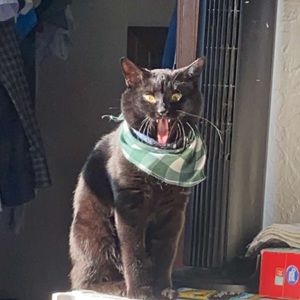 Meet your Posher, Teddi